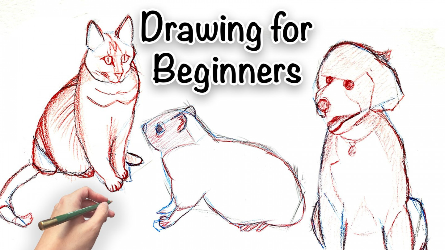 Animal Drawing: Quickly Sketch Animals - Easy Drawing for