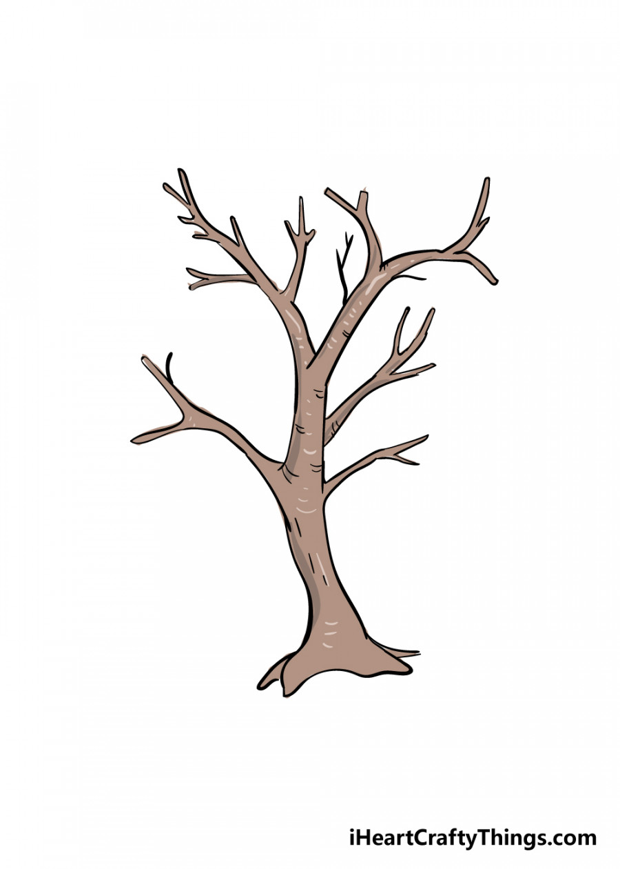 Branches Drawing - How To Draw Branches Step By Step