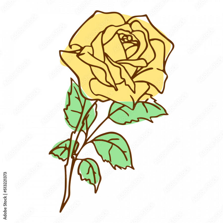 contour image of a yellow rose on a white background, drawing