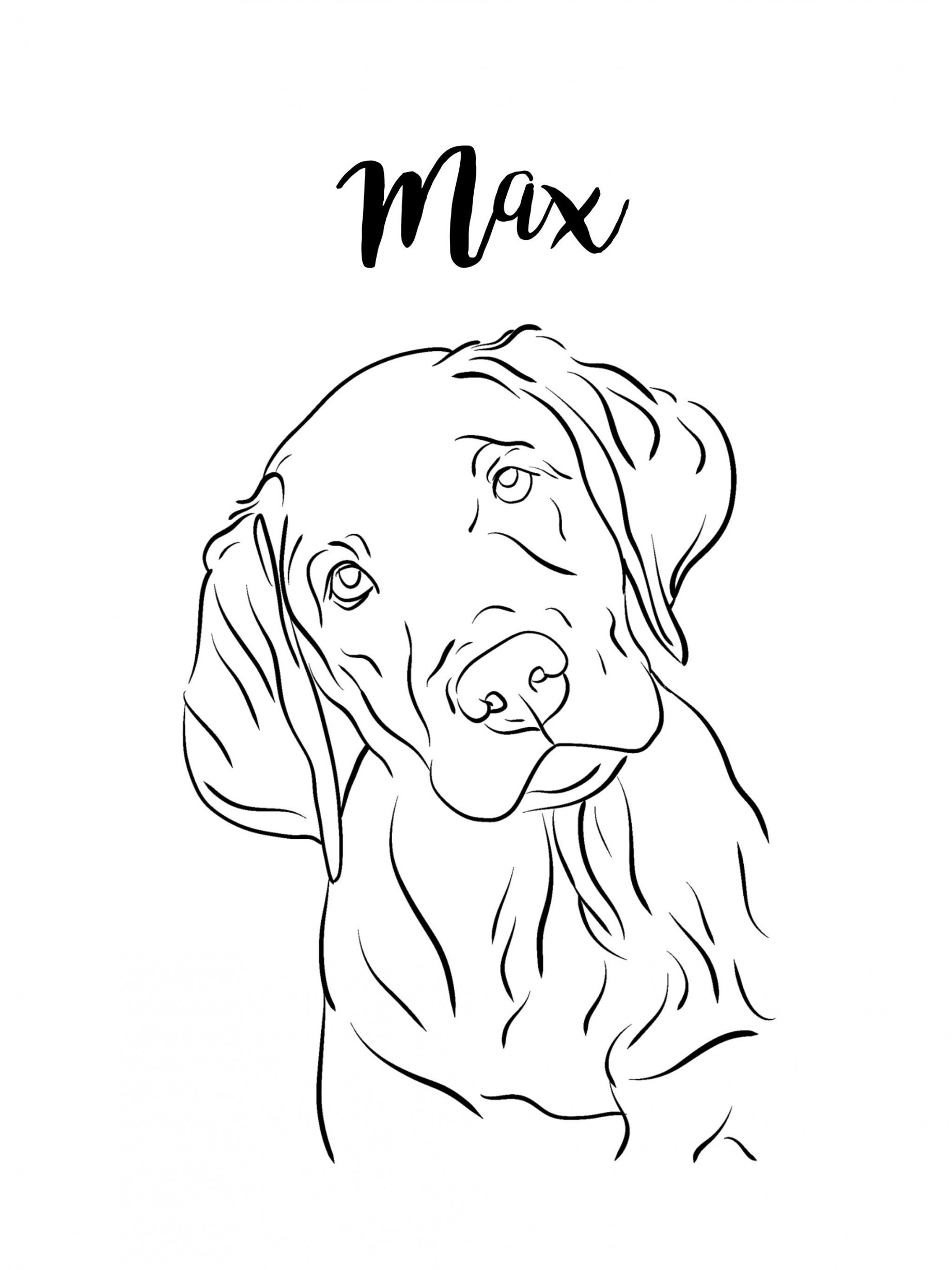 Custom Line Drawing Pet Portrait, Dog Portrait Custom Painting