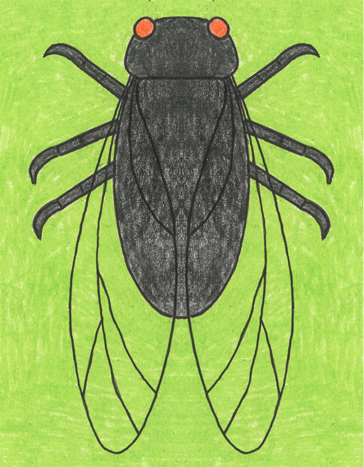 Easy How to Draw a Cicada Tutorial and Cicada Coloring Page