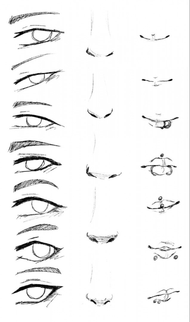 Facial features reference drawing  Anime eye drawing, Face