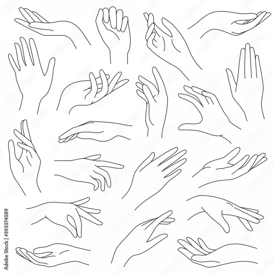 Female hands line. Outline elegant woman hand gestures