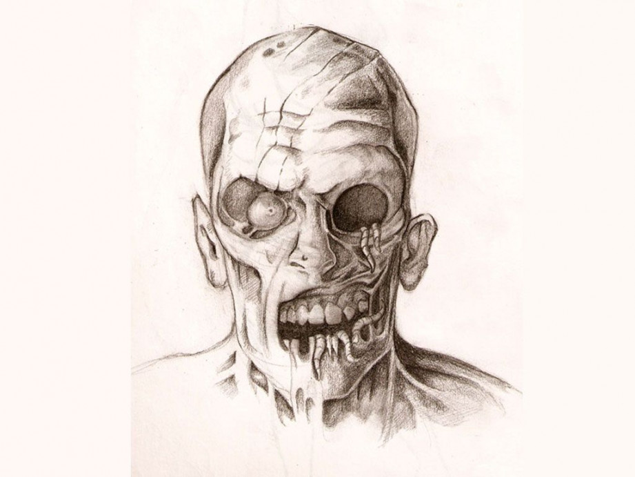 half face half skull drawing - Google Search  Zombie drawings