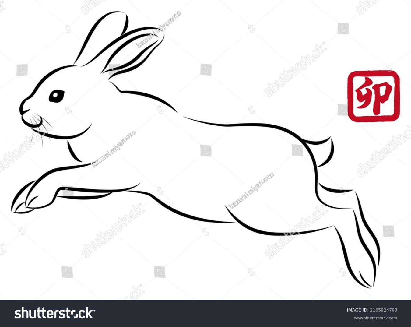 Hand Drawn Jumping Rabbit Photos and Images  Shutterstock