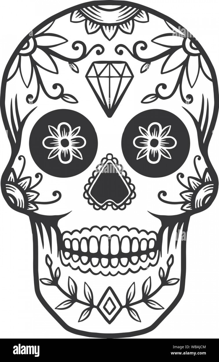 Hand drawn mexican sugar skull isolated on white background