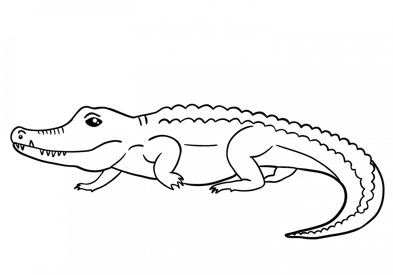 How to Draw a Crocodile  Design School