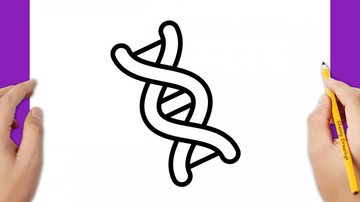 HOW TO DRAW A DNA STRAND EASY