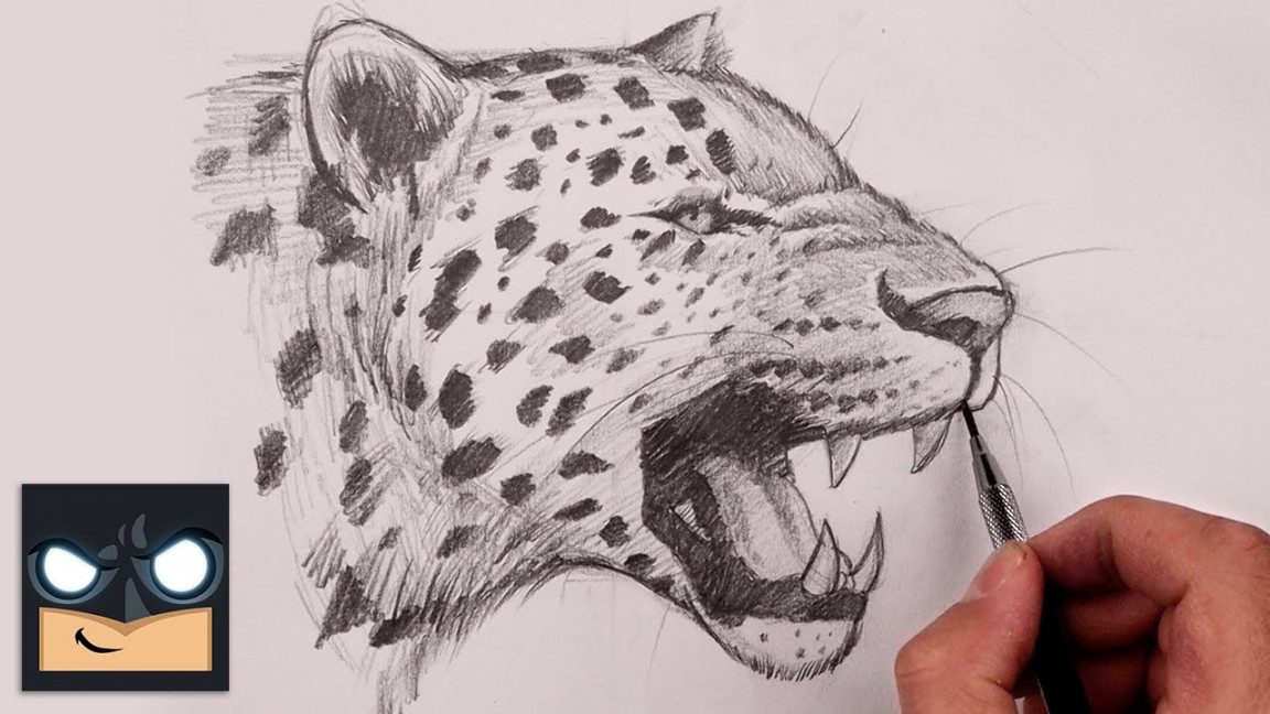 How To Draw a Leopard  Sketch Tutorial