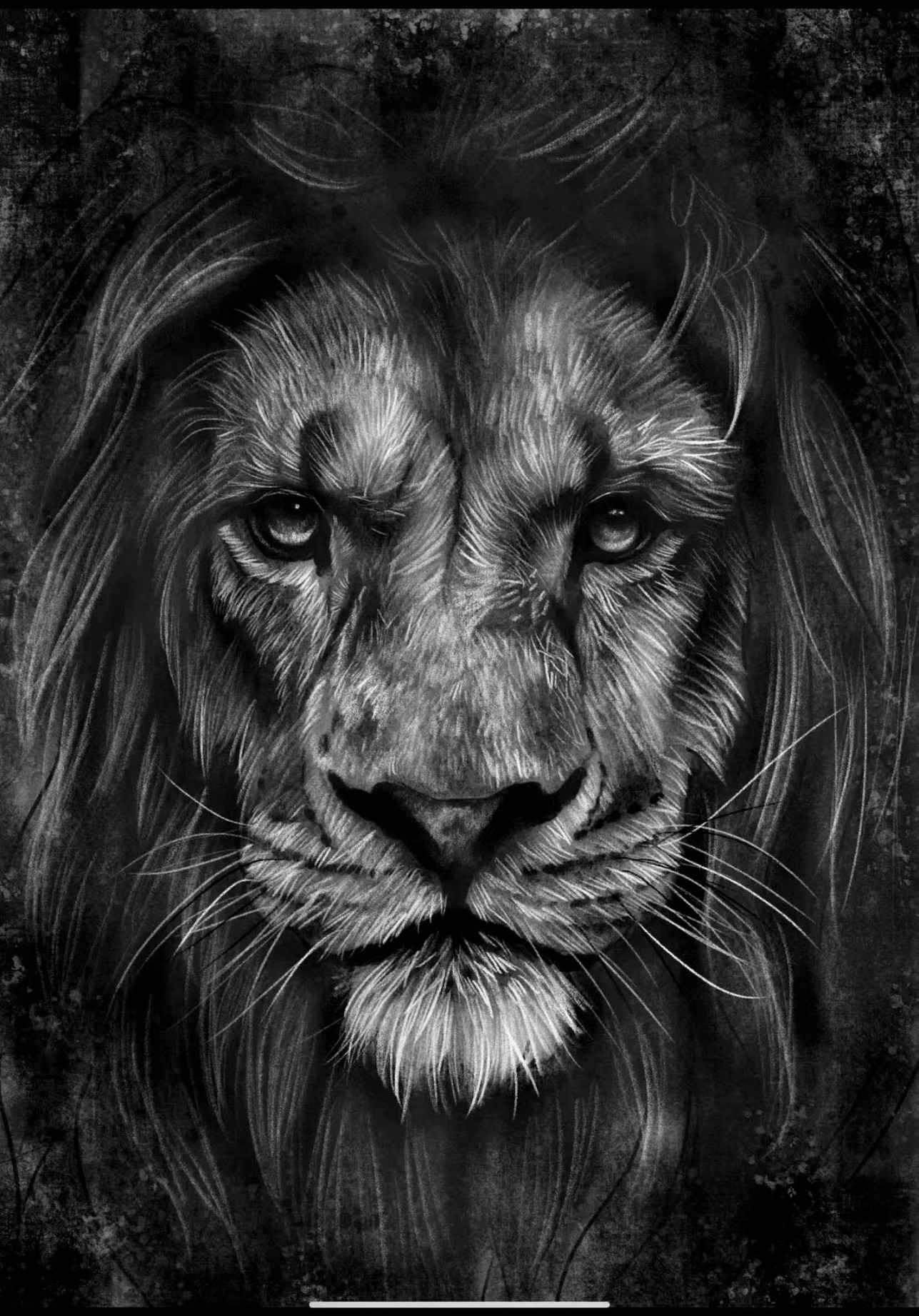 How to Draw a Realistic Lion like an Artist - Studio Wildlife