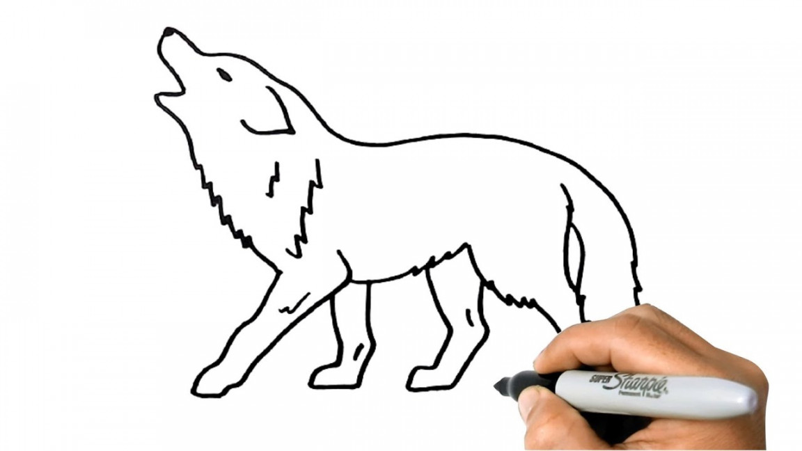 How to DRAW a WOLF Easy Step by Step