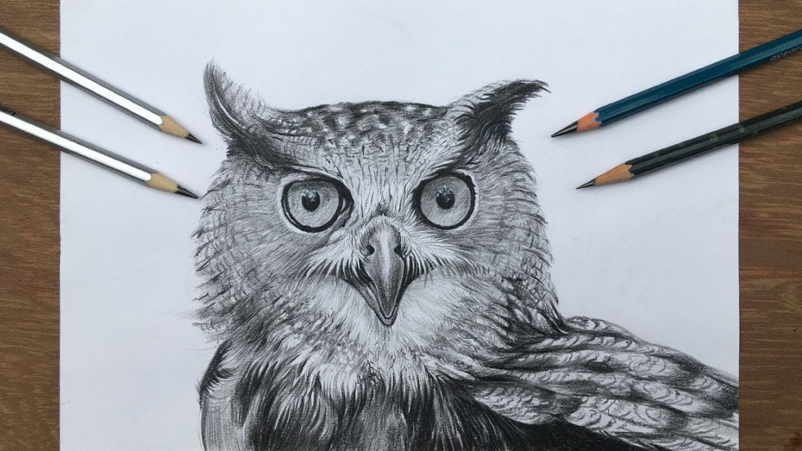 How to draw an owl  pencil shading of an owl  realistic owl drawing in  step by step