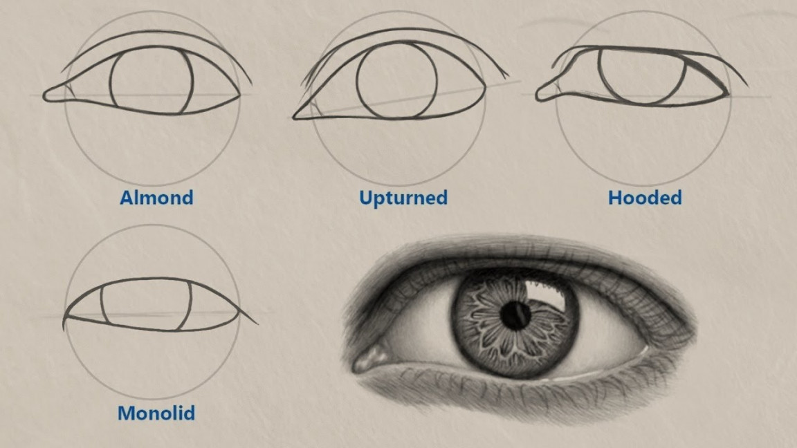 How to Draw Different Eye Shapes  UNIQUE