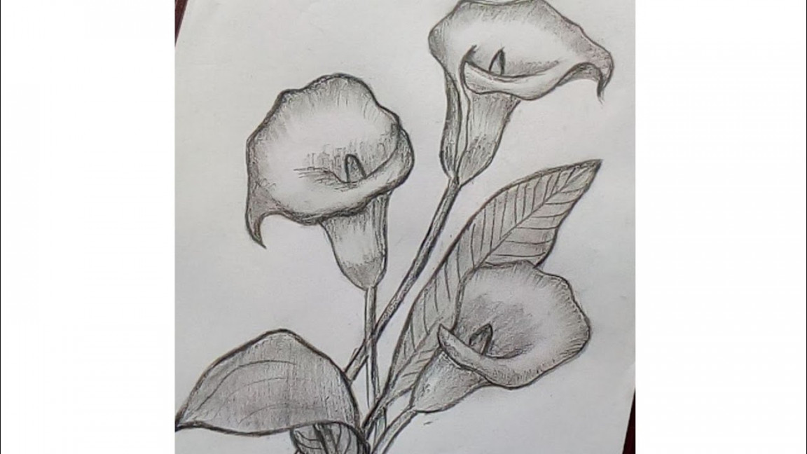 How To Draw Flower Step by Step  Easy Calla Lily Flower