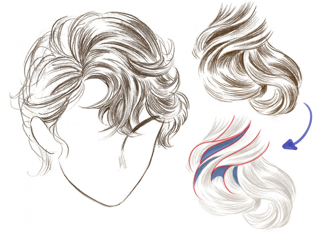 How to Draw Hair  Art Rocket