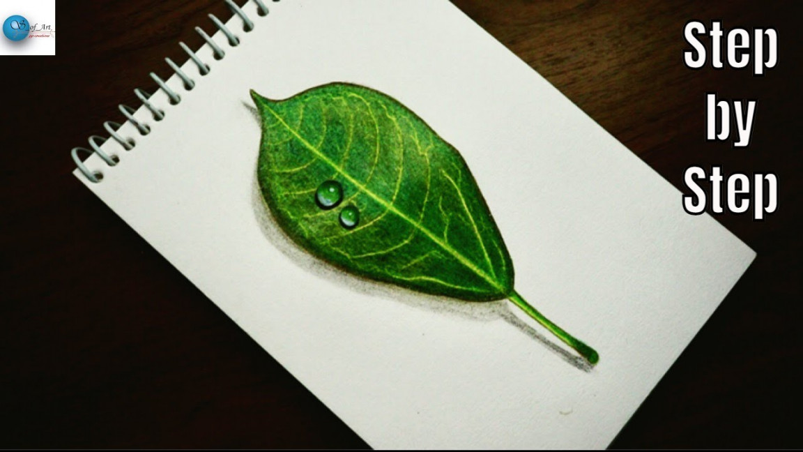 How to draw realistic D leaf step by step for beginners  drawing/sketch  tutorials