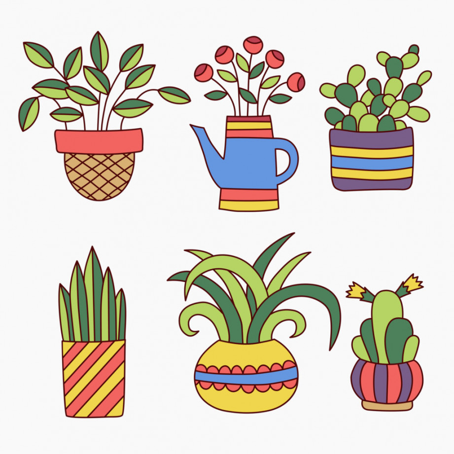 How to Draw Succulents with Easy Step by Step Tutorials