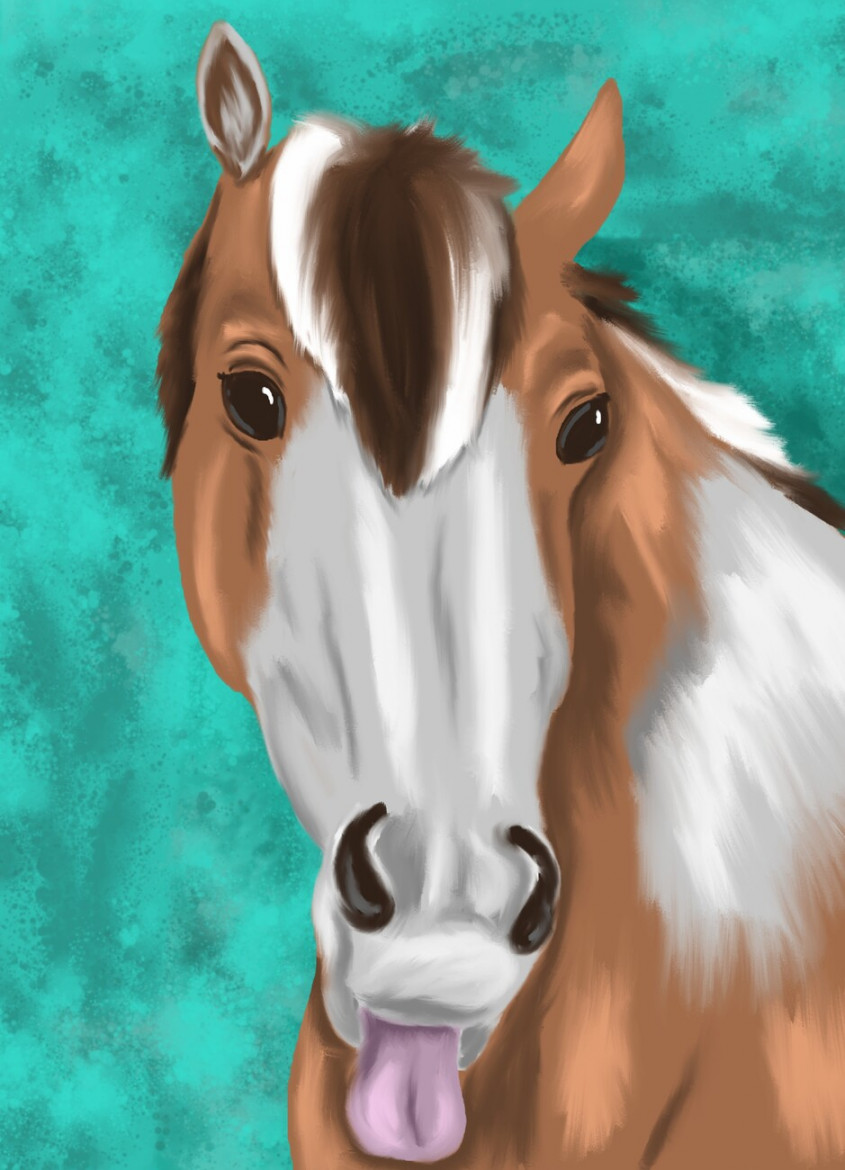 Illustration Funny horse drawing