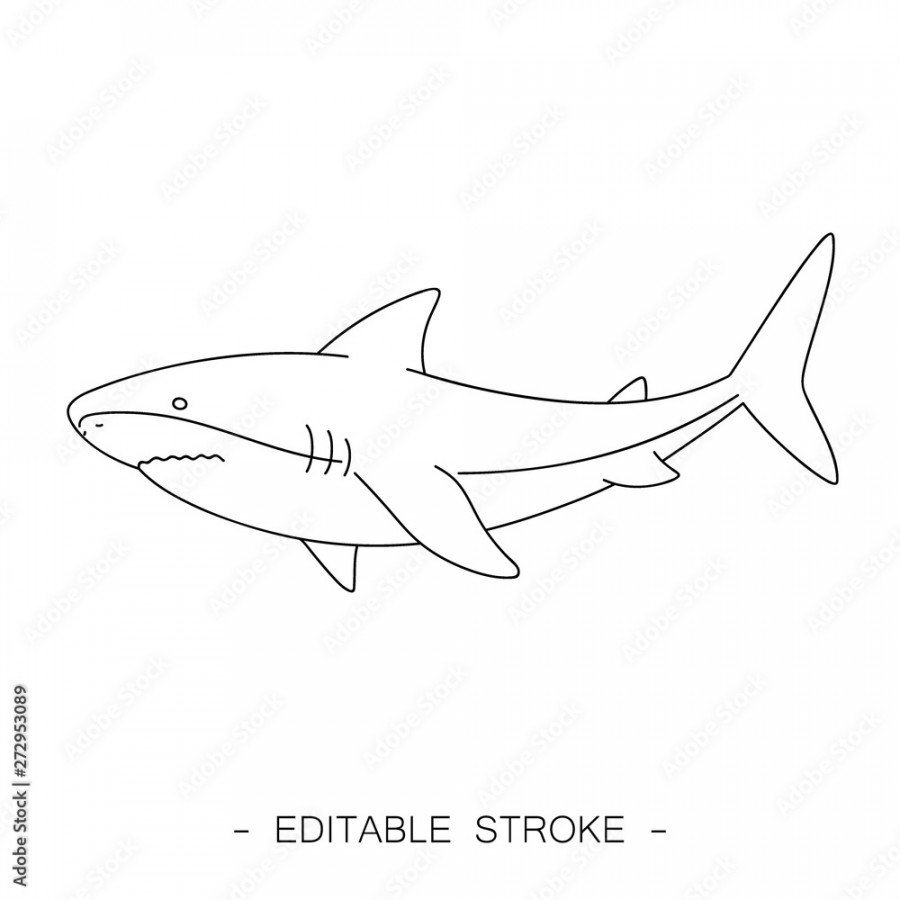 Isolated black outline shark on white background