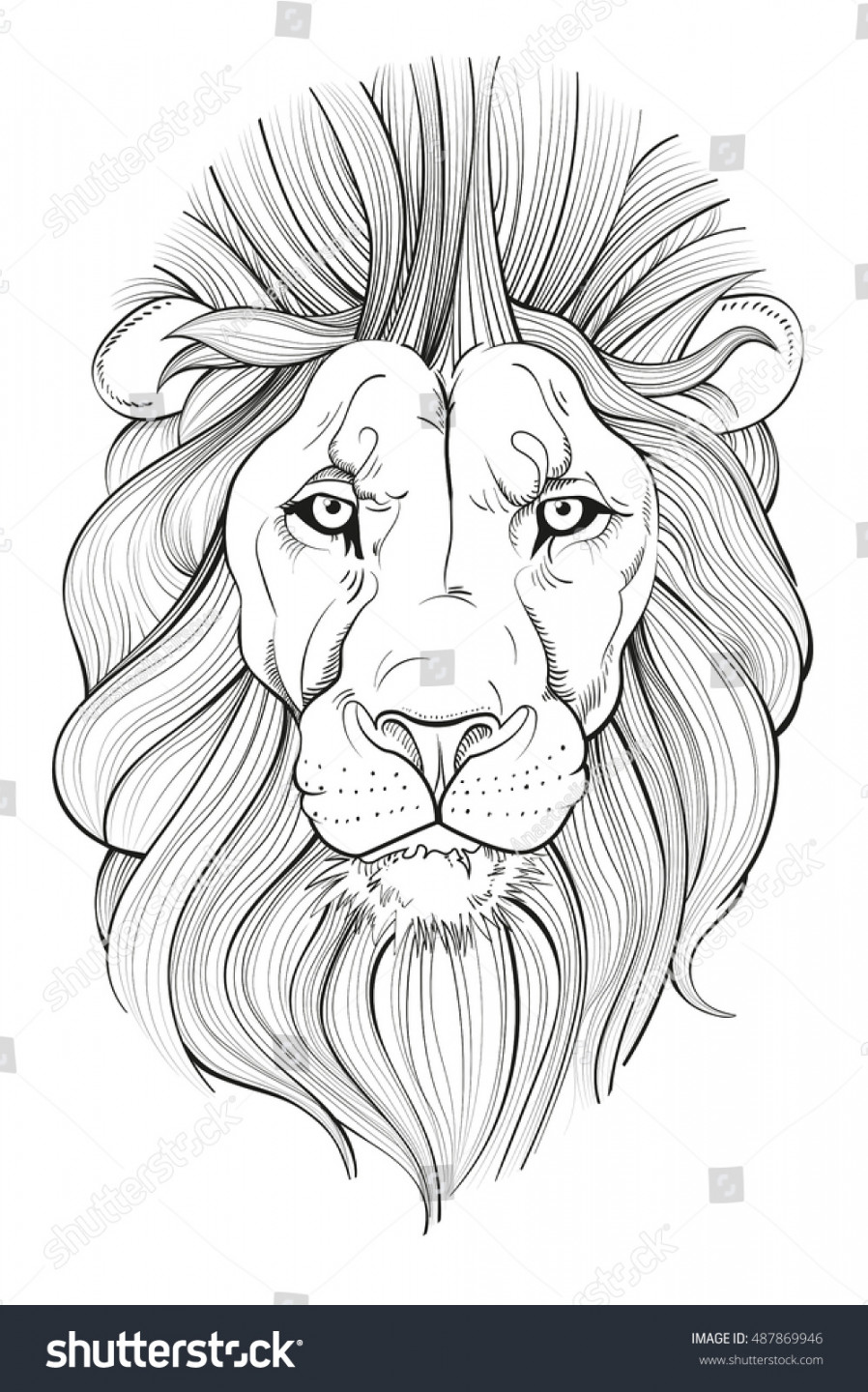 Line Drawing Lions Head Vector Illustration: Stock-Vektorgrafik