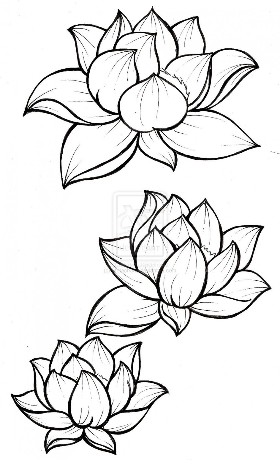 Lotus Flowers Vector Tattoo Art Lotus: стоковая, % OFF