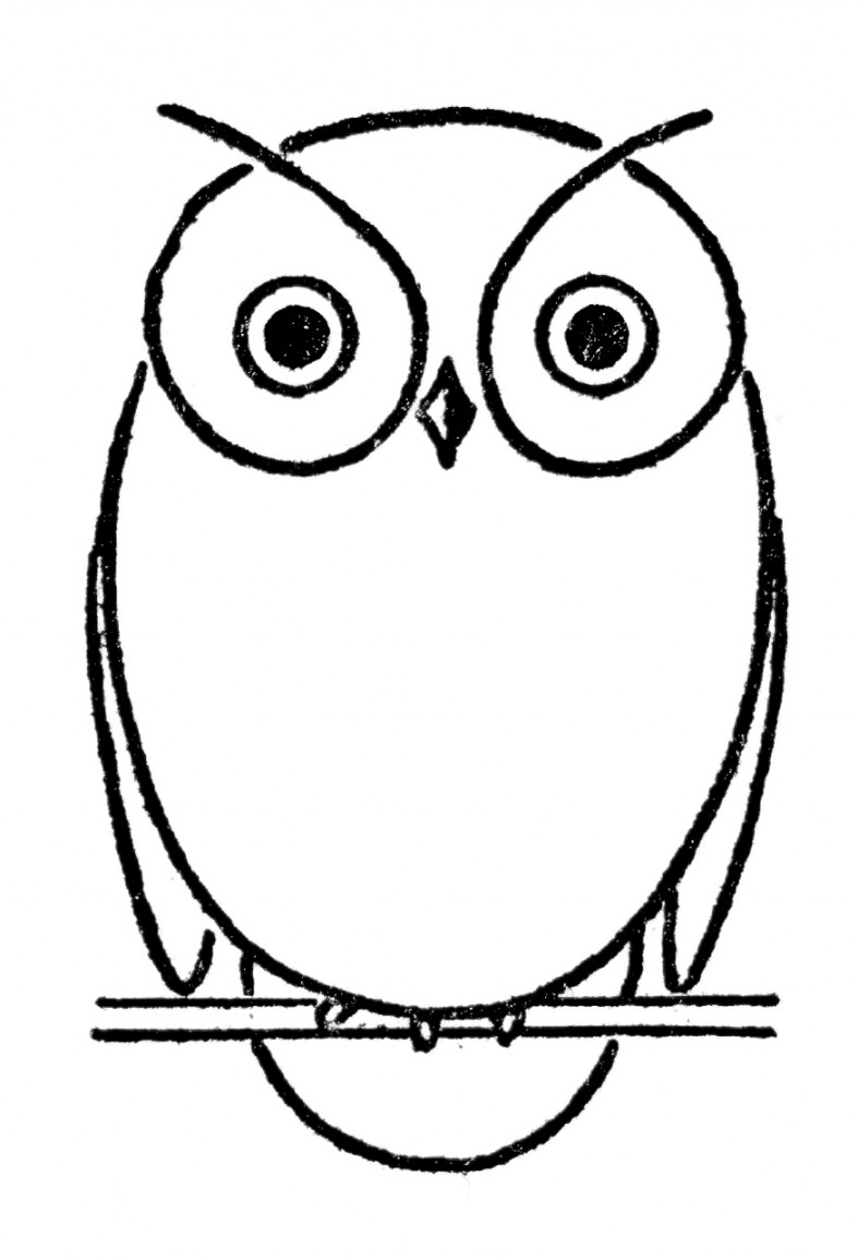 Owl Drawing Step by Step ( ways)! - The Graphics Fairy