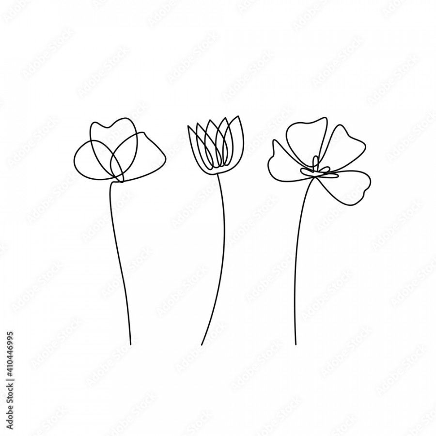 Set Hand Drawn Line Art Flowers on White Background