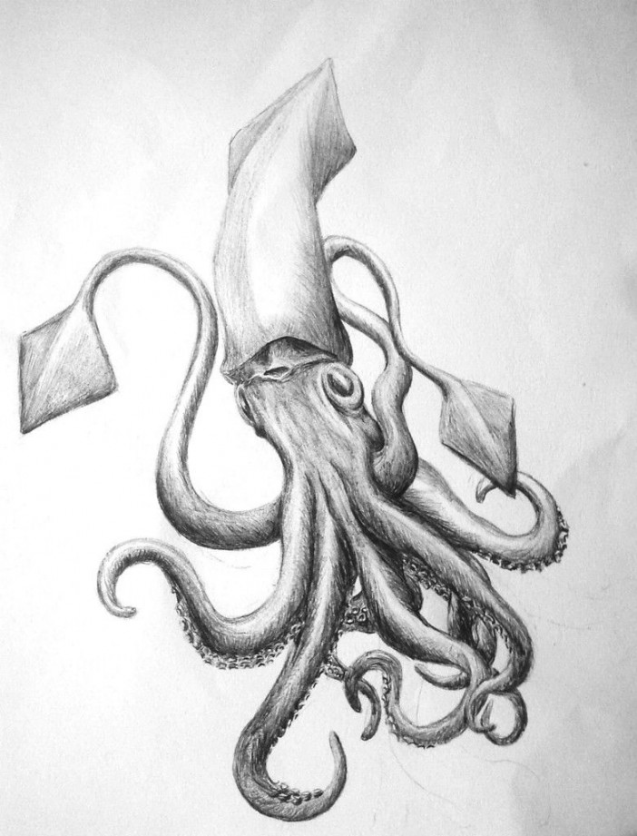 Squid sketch  Octopus sketch, Squid drawing, Sea creatures drawing