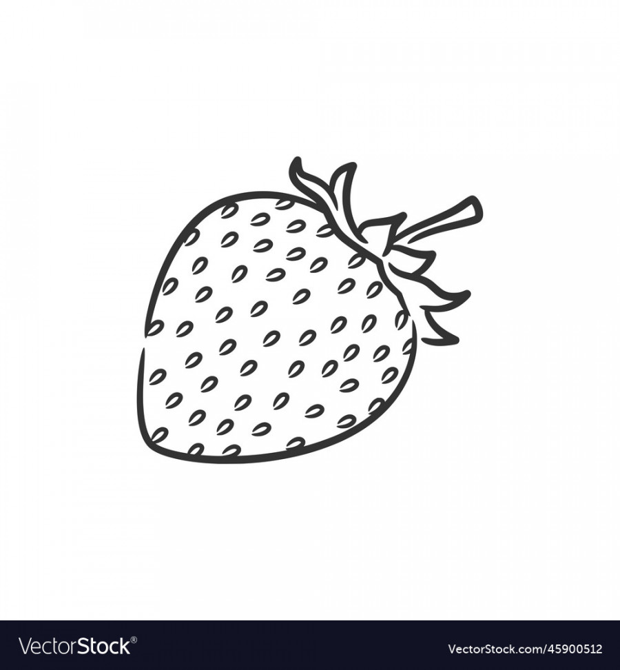 Strawberry line art Royalty Free Vector Image - VectorStock