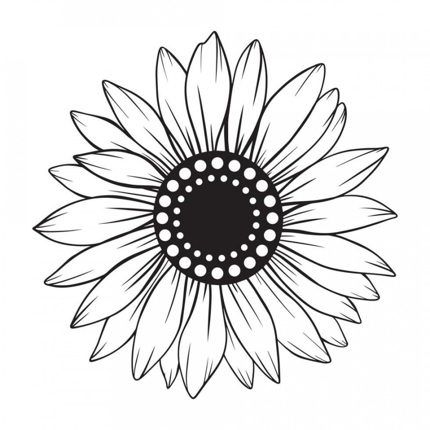 sunflower line art, sunflower line drawing, floral line drawing