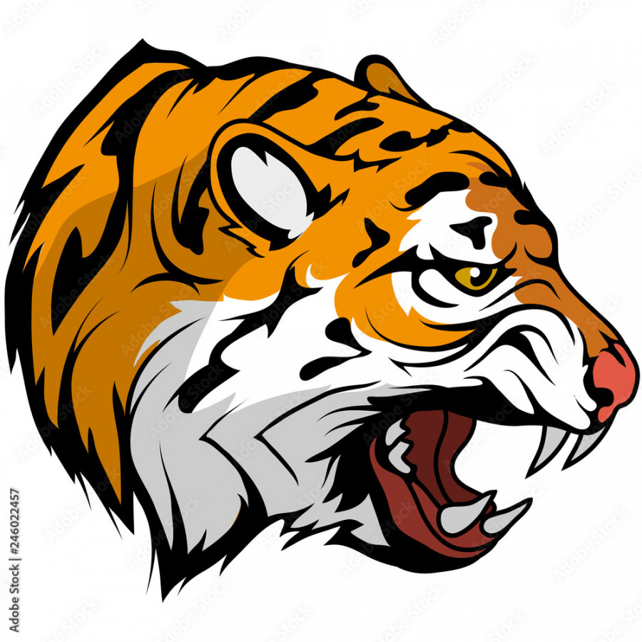 tiger head vector drawing, tiger face drawing sketch, tiger head