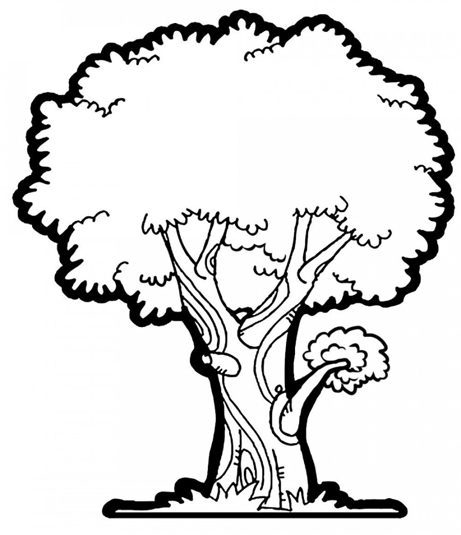 Tree clipart, Clip art, Black and white tree