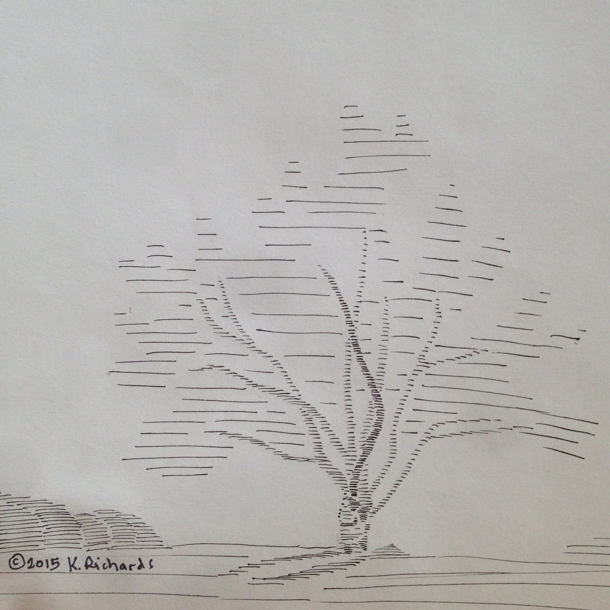 Tree Drawing : Horizontal Lines  Ticklehead