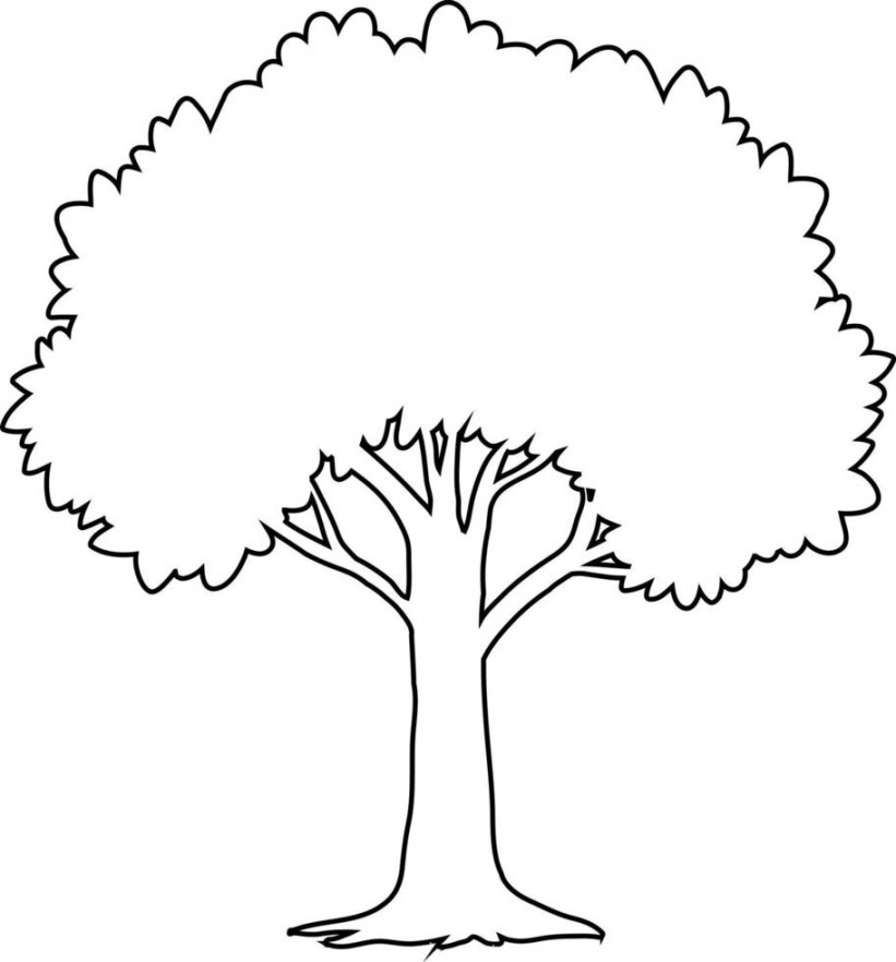 Tree Outline Vector Art, Icons, and Graphics for Free Download