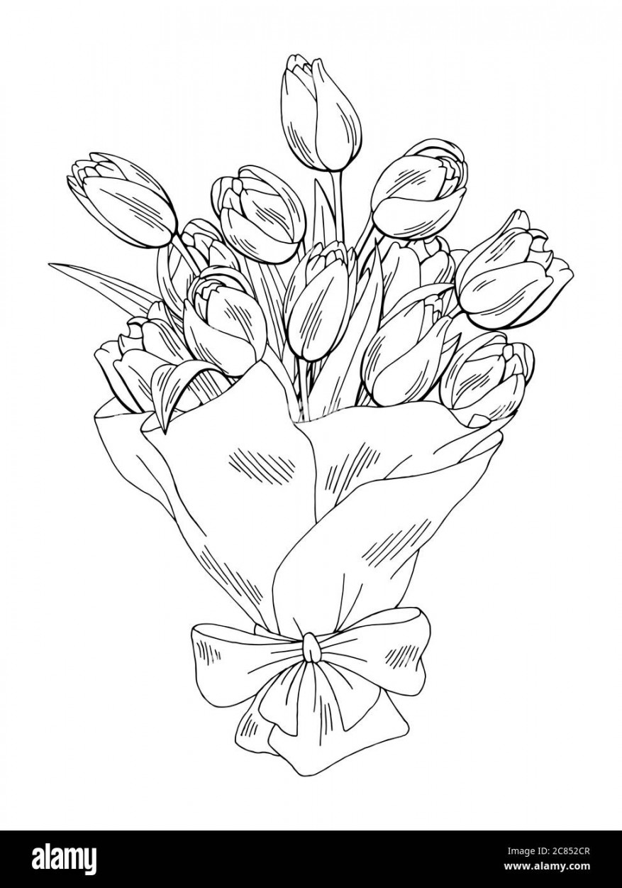 Tulip flower graphic black white isolated bouquet sketch