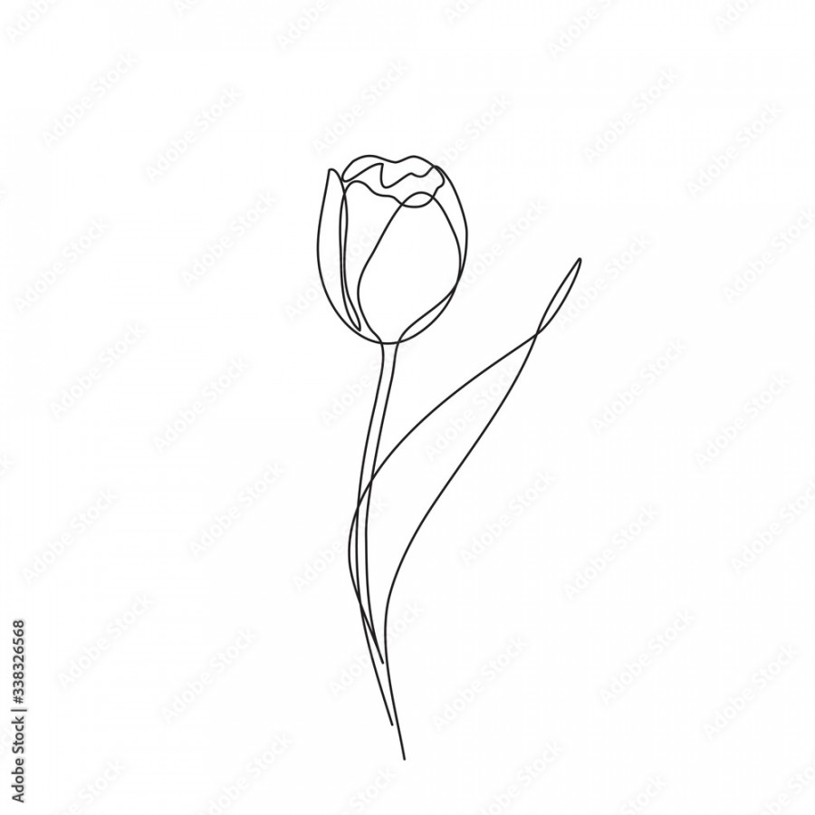 Tulip flower one line drawing art Stock-Vektorgrafik  Adobe Stock