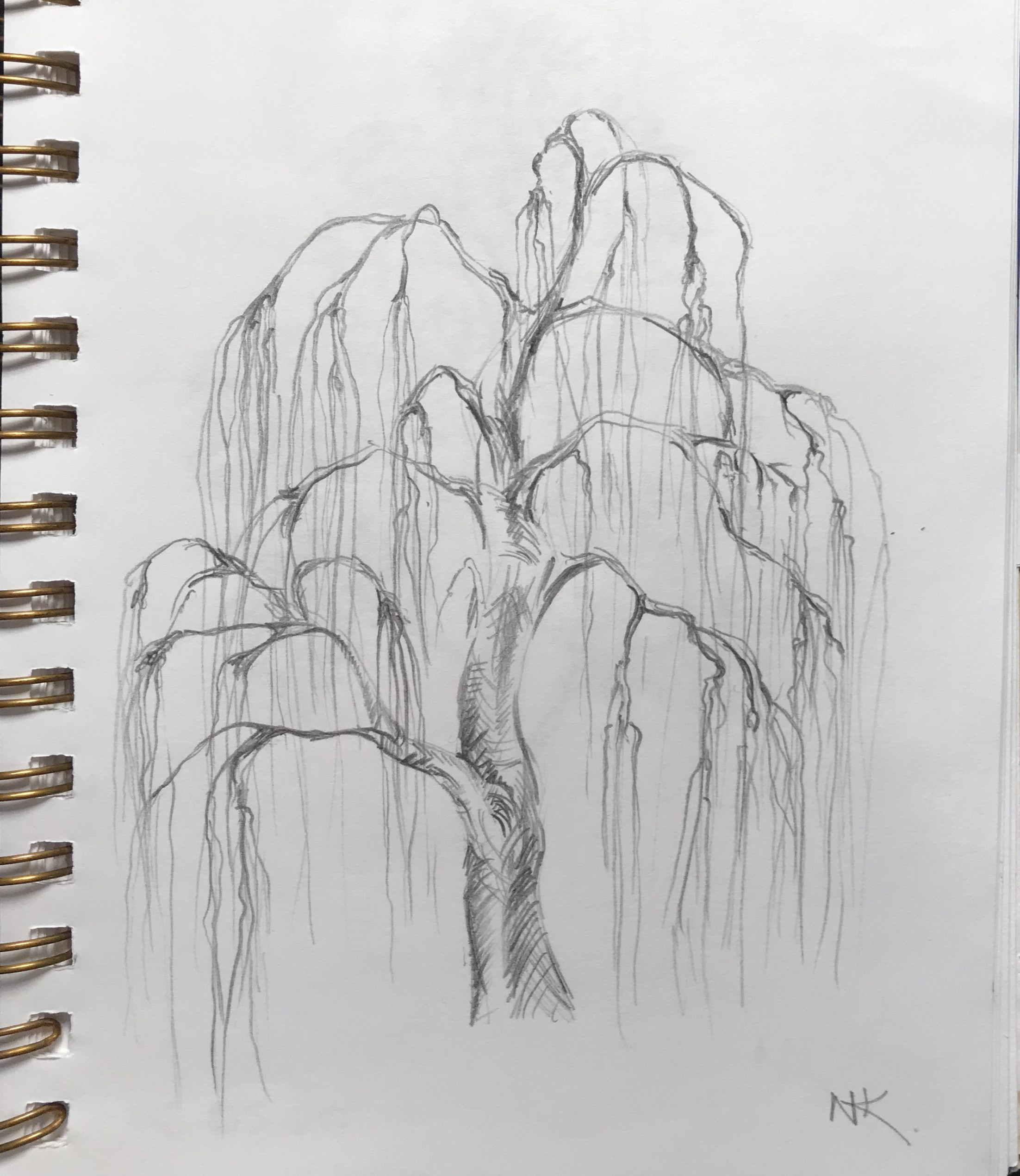 Weeping Willow Tree Pencil drawing  Eskiz, Çizim fikirleri, Çizim