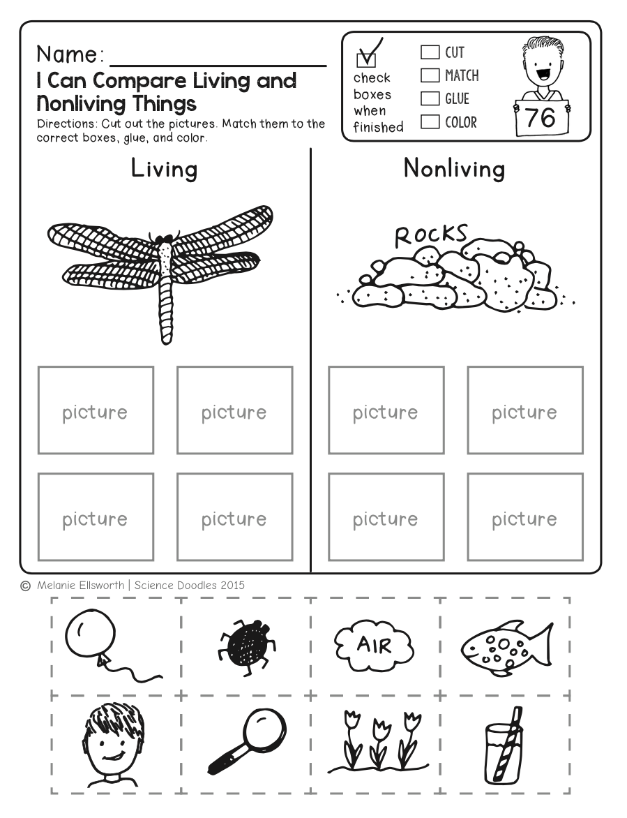 25 Kindergarten Worksheets Free Printables Science Free