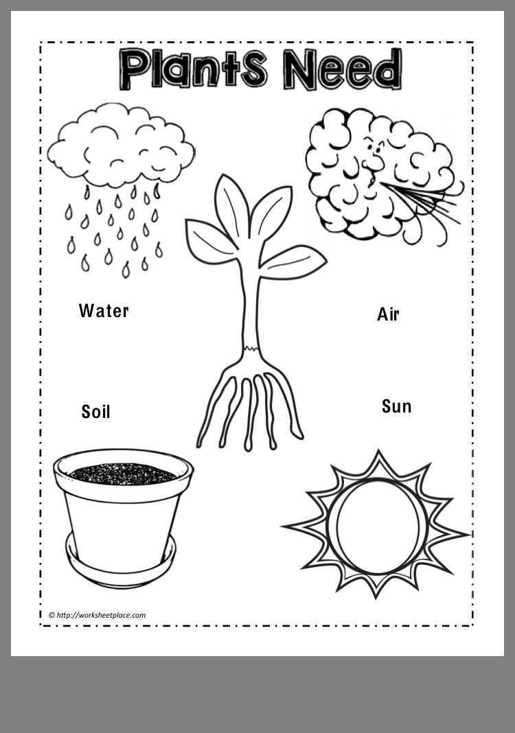 25 Kindergarten Worksheets Free Printables Science Free