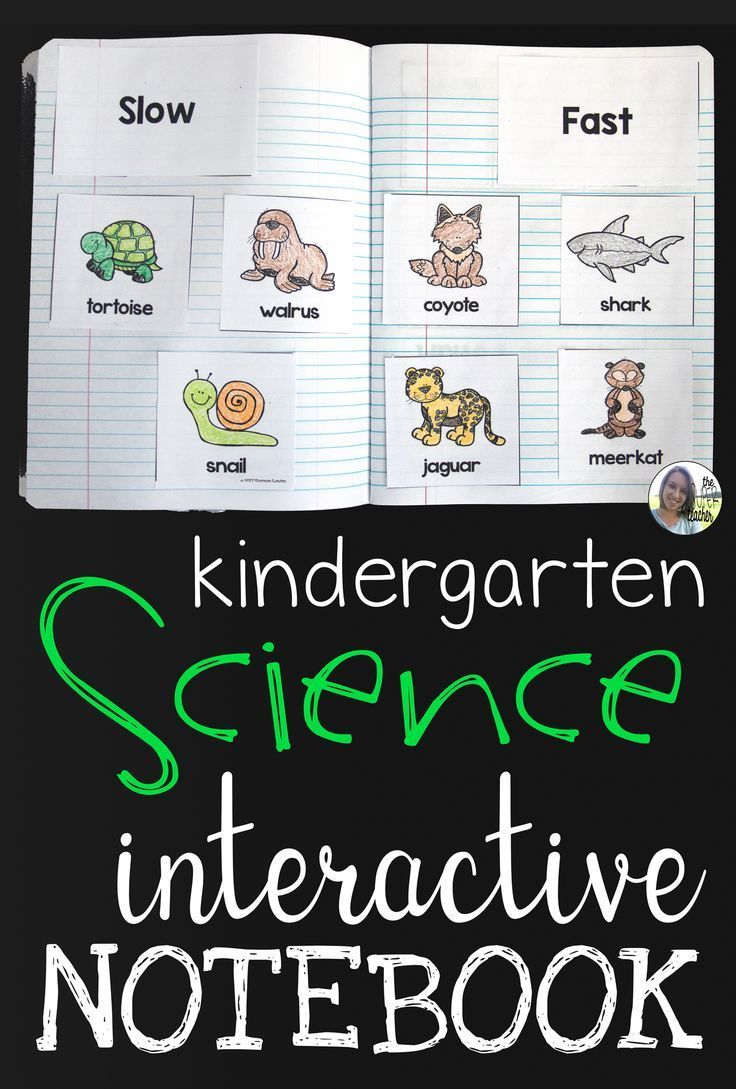 25 Kindergarten Worksheets Free Printables Science Free