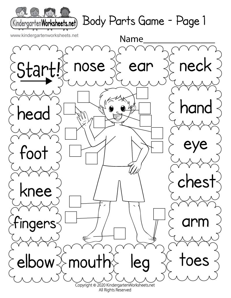 25 Kindergarten Worksheets Free Printables Science Free