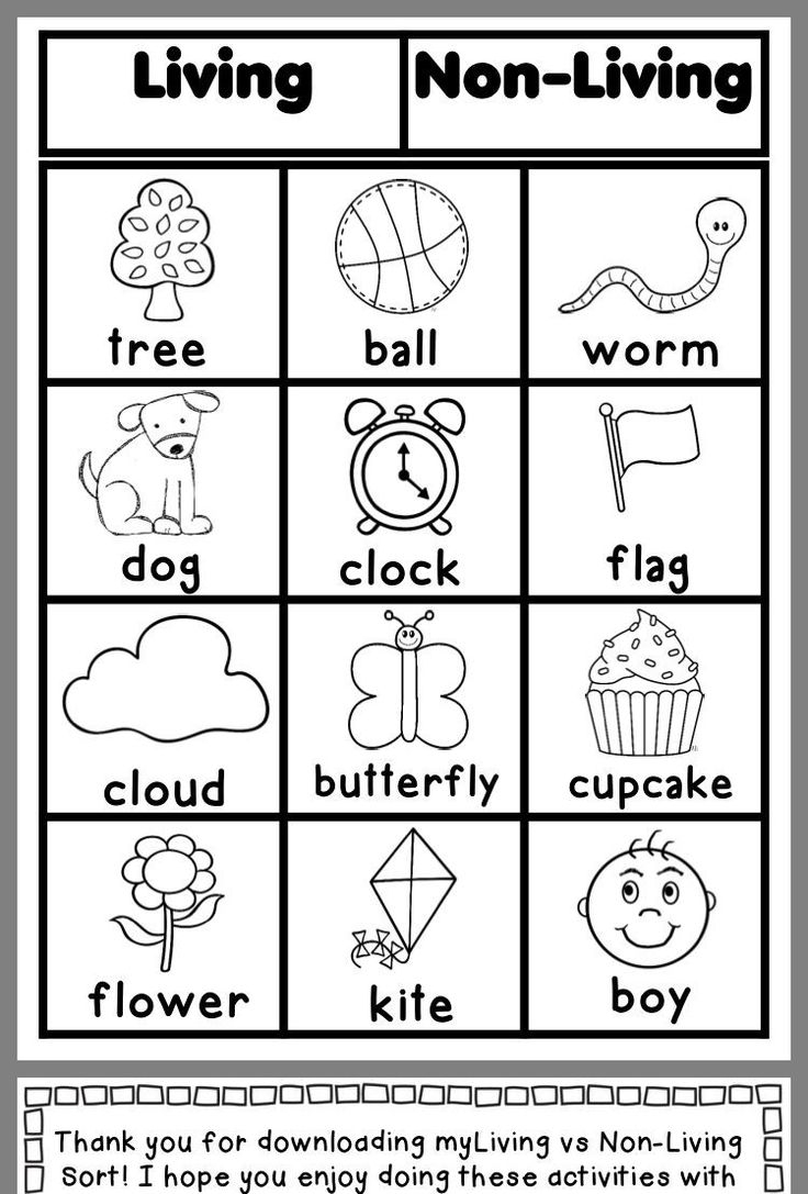 25 Kindergarten Worksheets Free Printables Science Pdf