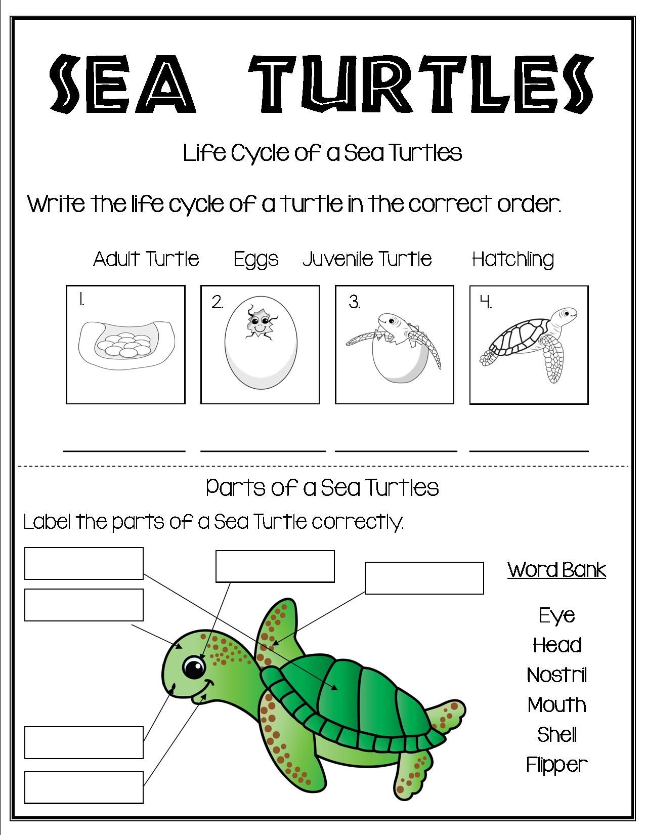 25 Kindergarten Worksheets Free Printables Science Pdf