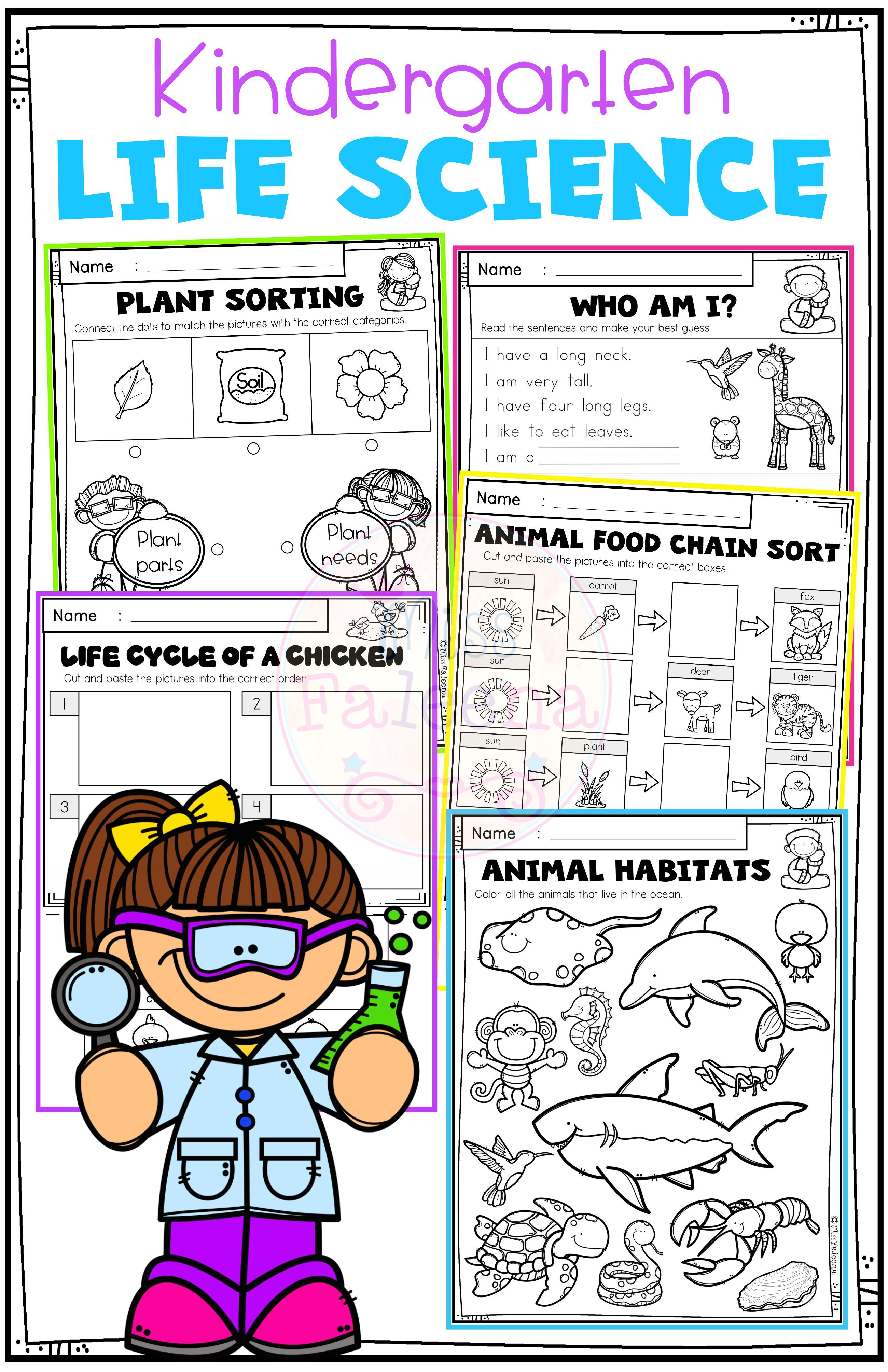 25 Kindergarten Worksheets Free Printables Science Pdf