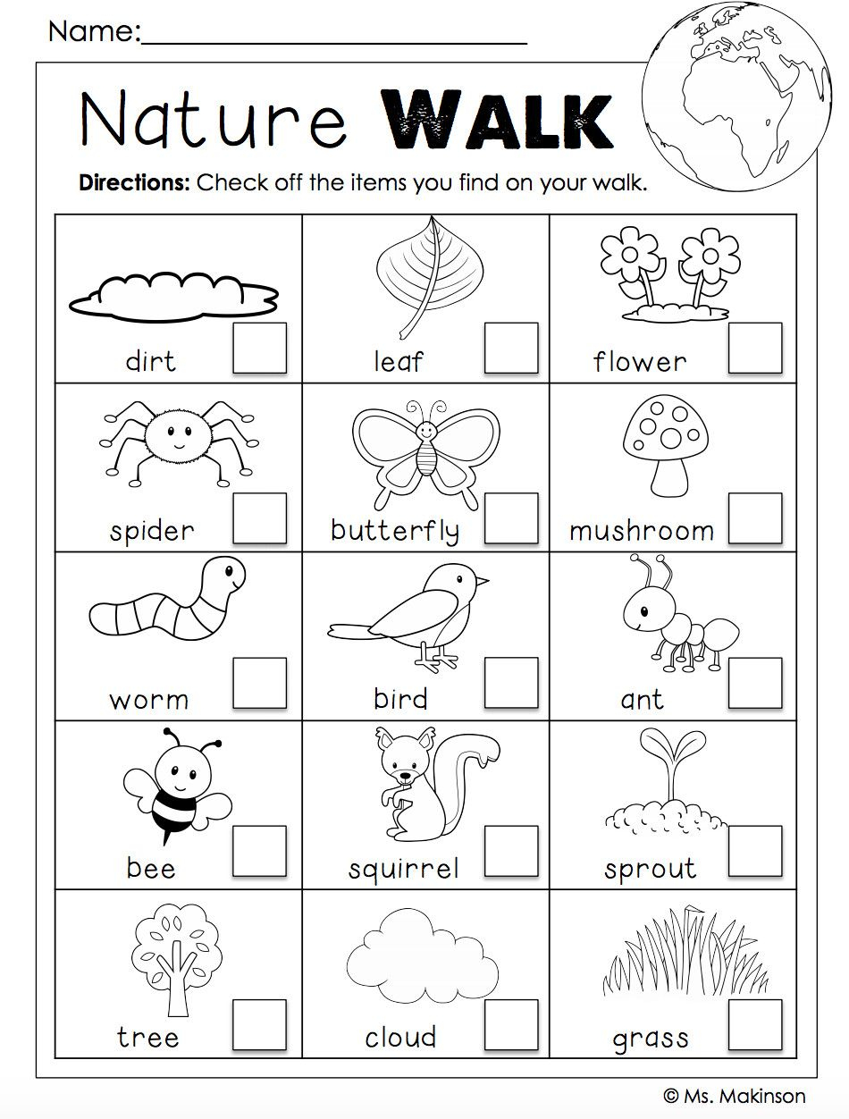 25 Kindergarten Worksheets Free Printables Science Pdf