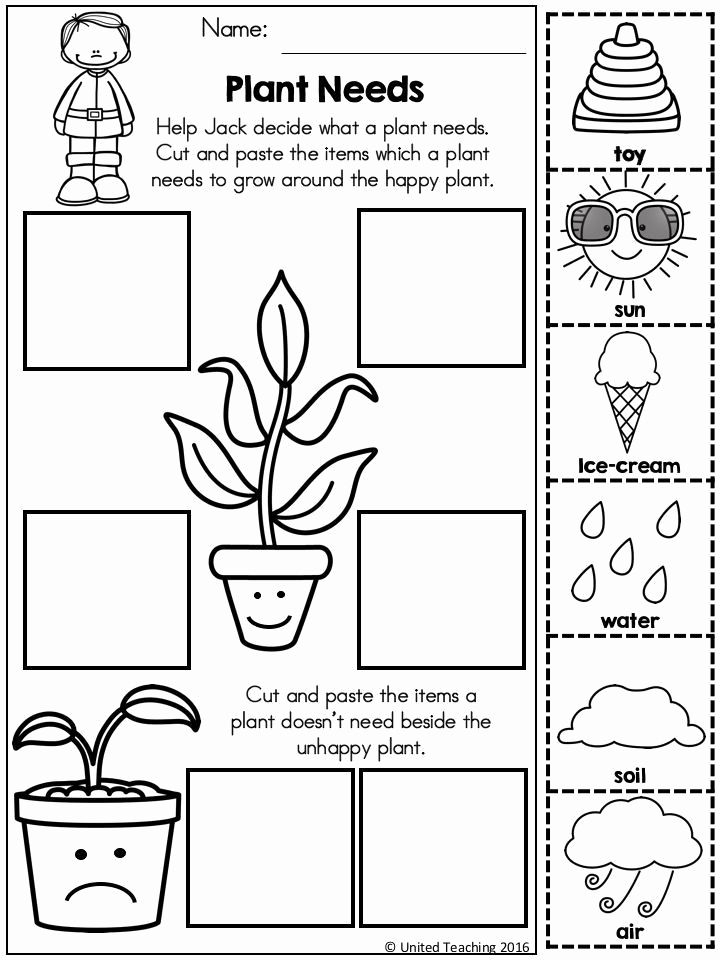 25 Kindergarten Worksheets Free Printables Science Pdf