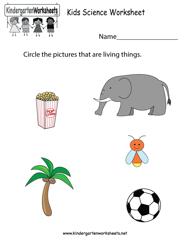 25 Kindergarten Worksheets Free Printables Science Pdf