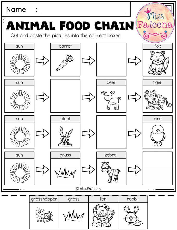 25 Kindergarten Worksheets Free Printables Science Pdf