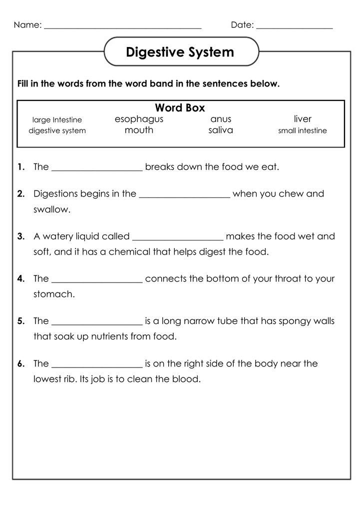 25 Math Worksheets For 4Th Grade Science Free