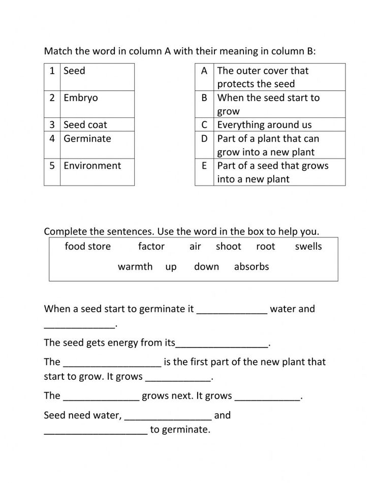 25 Math Worksheets For 4Th Grade Science Free